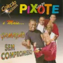 Pixote / Grupo Gamação / Grupo Sem Compromisso: Coleção Sucessos