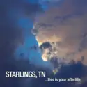 Starlings, TN: This is Your Afterlife