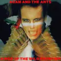 Adam And The Ants: Kings Of The Wild Frontier