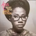 Aṣa: Beautiful Imperfection