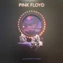 Pink Floyd: Delicate Sound Of Thunder