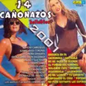Various: 14 Cañonazos Bailables 2001