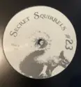 Unknown Artist: Secret Squirrels #23
