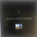 Pink Floyd: Delicate Sound Of Thunder The Later Years 1987-2019