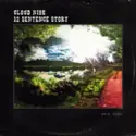 Cloud Ni9e: 12 Sentence Story