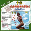 Various: 14 Cañonazos Bailables Vol 10