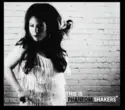 The Phantom Shakers: This Is The Phantom Shakers