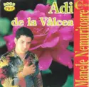 Adi De La Vâlcea: Colecția Manele Nemuritoare