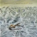 Ludwig van Beethoven, Ragnhild Hemsing, Tor Espen Aspaas: Beethoven's Testaments Of 1802
