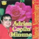 Adrian Copilul Minune: Colecția Manele Nemuritoare