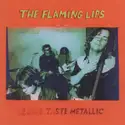 The Flaming Lips: Clouds Taste Metallic