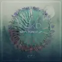 Niukid: Misty Forest LP