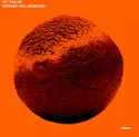 Vic Tailor: Orange Fog (Remixes)