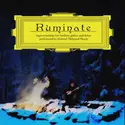 Gabriel Marin [3]: Ruminate: Improvisations For Fretless Guitar And Dutar