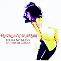 Brazilian Love Affair: Ferias No Brasil / Ninho De Cobra