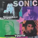 Sonic Youth: Experimental Jet Set, Trash And No Star