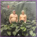João Donato & Jards Macalé: Síntese Do Lance