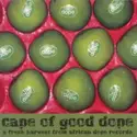 Various: Cape Of Good Dope (A Fresh Harvest From African Dope Records)