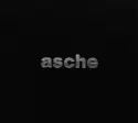 Asche: Distorted Disco
