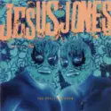 Jesus Jones: The Devil You Know