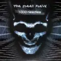 The Speed Freak: 1000 Needles