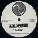 Tripwire: No Problem / Survive