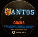Santos: Camels