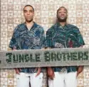 Jungle Brothers: V.I.P.