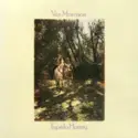 Van Morrison: Tupelo Honey