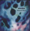 Asche: Distorted Disco The Berlin-Edition