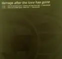 Damage: After The Love Has Gone / Since You've Been Gone