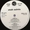 Utah Saints: I Want You