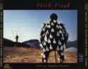 Pink Floyd: Delicate Sound Of Thunder