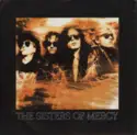 The Sisters Of Mercy: Doctor Jeep