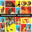 Bloodhound Gang: Hooray For Boobies