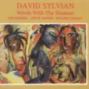 David Sylvian, Jon Hassell • Steve Jansen • Holger Czukay: Words With The Shaman