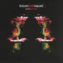 Future Funk Squad: Audio Damage