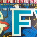 Fine Young Cannibals: I'm Not The Man I Used To Be