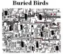 Buried Birds: The Empty Lake Of Sanity EP