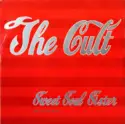 The Cult: Sweet Soul Sister (Rock's Mix)