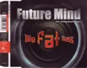 Future Mind: Big Fat Bass