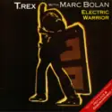 T. Rex With Marc Bolan: Electric Warrior