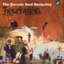 The Quantic Soul Orchestra: Tropidélico
