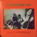 The Flaming Lips: Clouds Taste Metallic