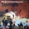 The Quantic Soul Orchestra: Tropidélico