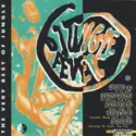 Various: Jungle Fever: The Very Best Of Jungle