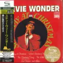 Stevie Wonder: Someday At Christmas