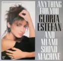 Miami Sound Machine: Anything For You
