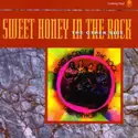 Sweet Honey In The Rock: The Other Side