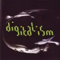 Digitalism: Idealism